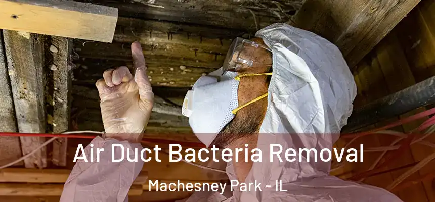  Air Duct Bacteria Removal Machesney Park - IL