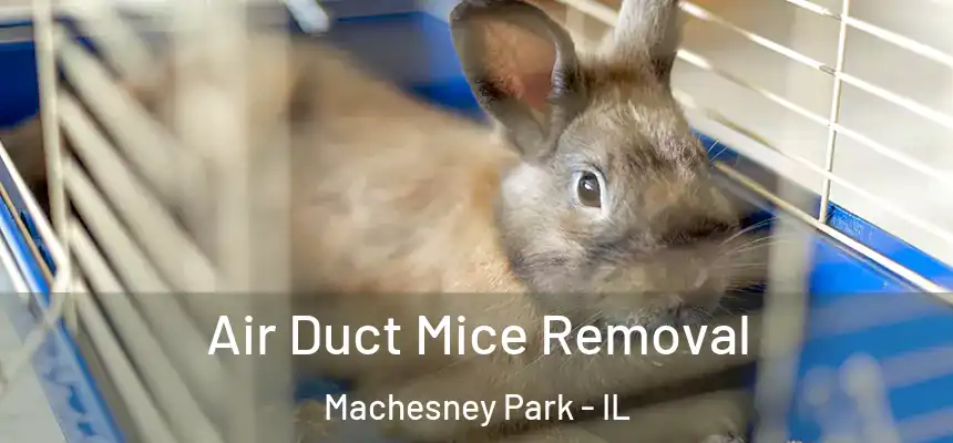 Air Duct Mice Removal Machesney Park - IL