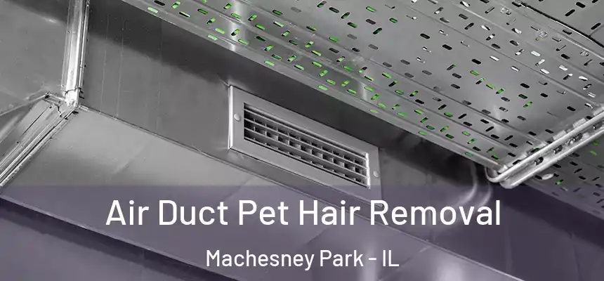  Air Duct Pet Hair Removal Machesney Park - IL