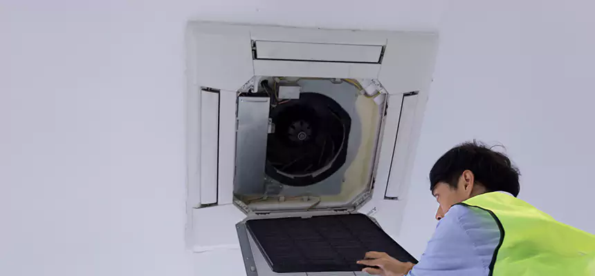 Our Dryer Vent Sanitization Service Services in Machesney Park, IL