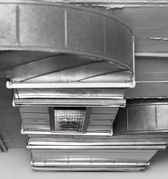 Professional Air Duct Pest Removal in Machesney Park, IL