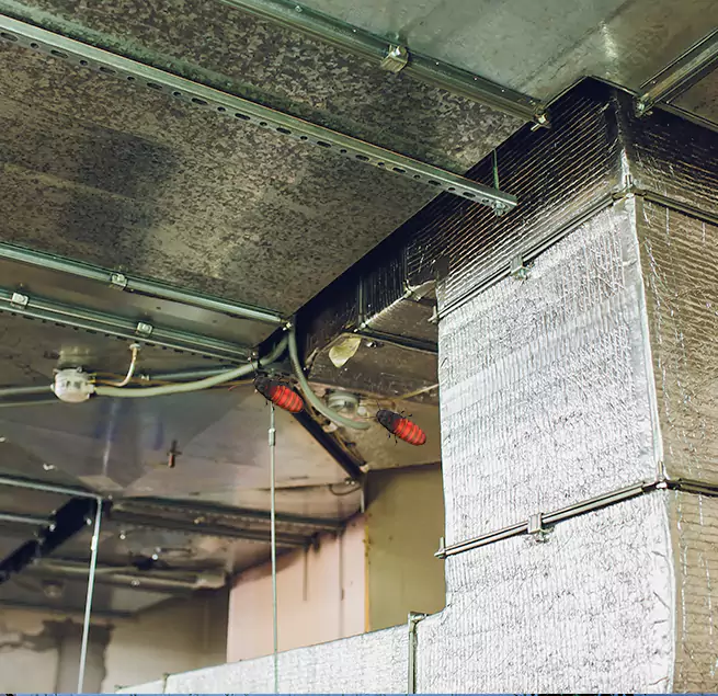 Why Homeowners & Businesses Trust Us Machesney Park, IL?