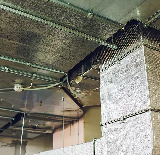 Why Homeowners & Businesses Trust Us in Machesney Park, IL?